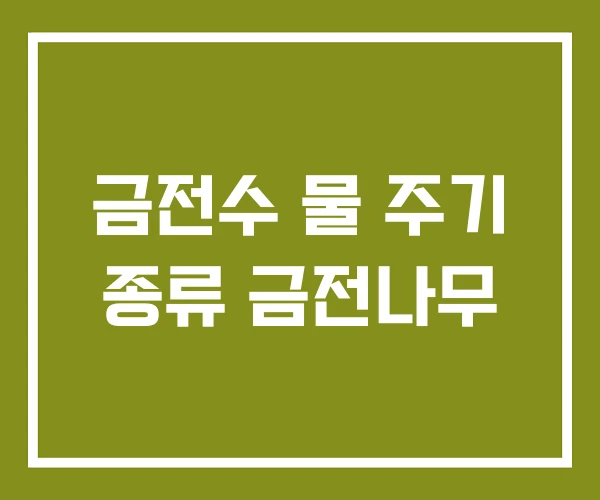 금전수 물 주기 종류 금전나무