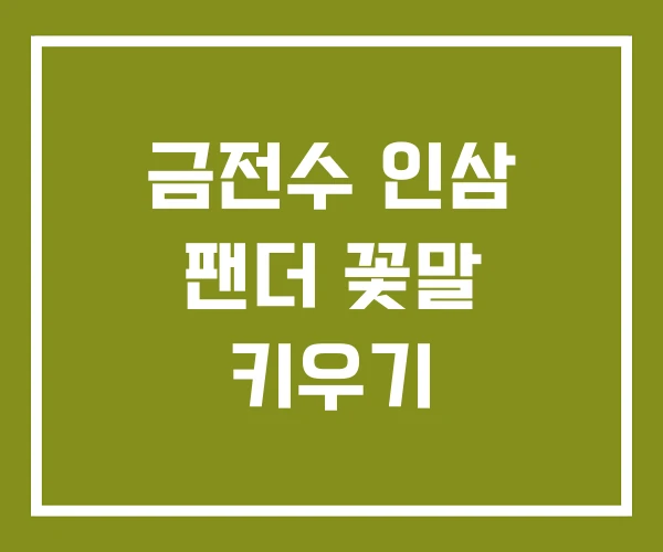 금전수 인삼 팬더 꽃말 키우기