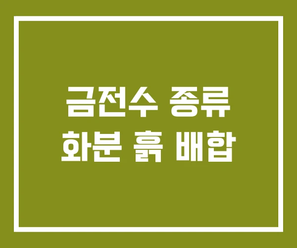 금전수 종류 화분 흙 배합