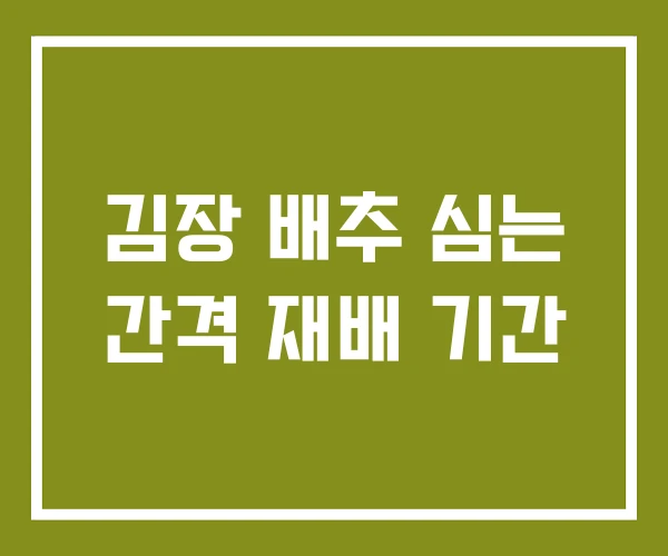 김장 배추 심는 간격 재배 기간