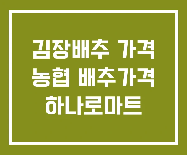 김장배추 가격 농협 배추가격 하나로마트