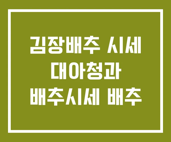 김장배추 시세 대아청과 배추시세 배추