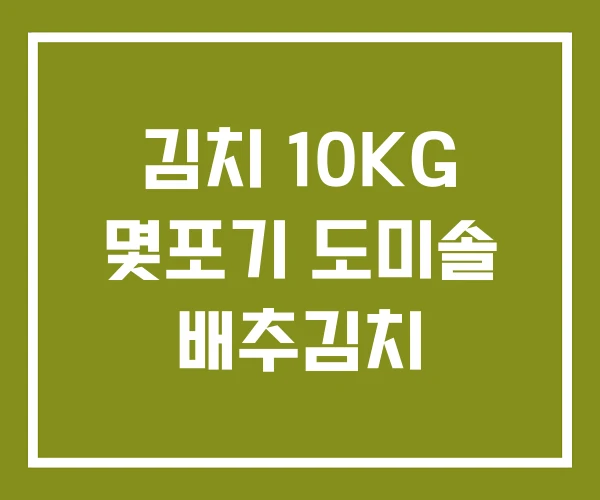 김치 10KG 몇포기 도미솔 배추김치