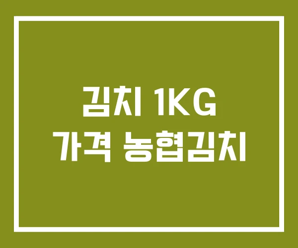 김치 1KG 가격 농협김치
