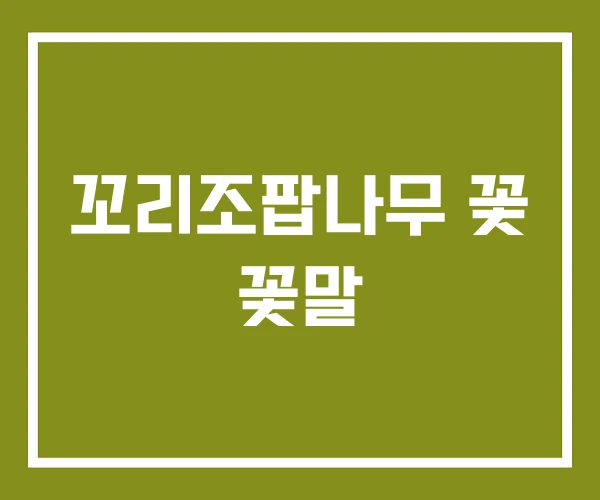 꼬리조팝나무 꽃 꽃말