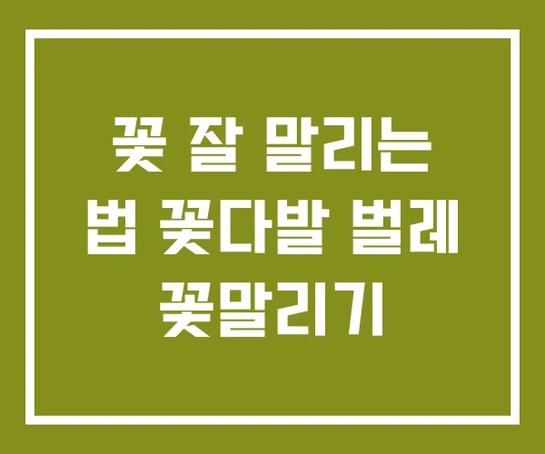 꽃 잘 말리는 법 꽃다발 벌레 꽃말리기
