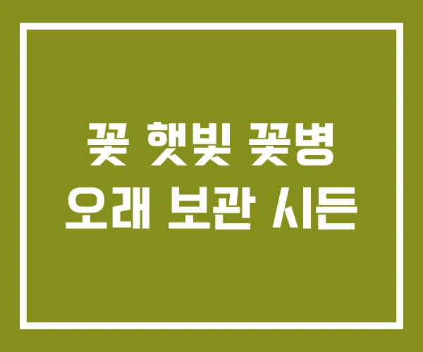 꽃 햇빛 꽃병 오래 보관 시든