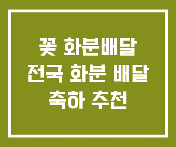꽃 화분배달 전국 화분 배달 축하 추천