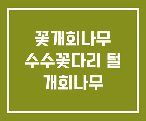 꽃개회나무 수수꽃다리 털 개회나무