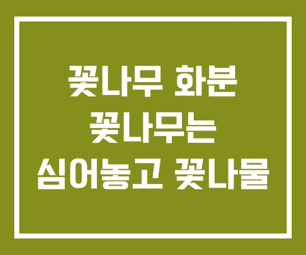 꽃나무 화분 꽃나무는 심어놓고 꽃나물