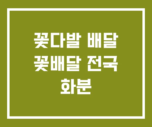꽃다발 배달 꽃배달 전국 화분
