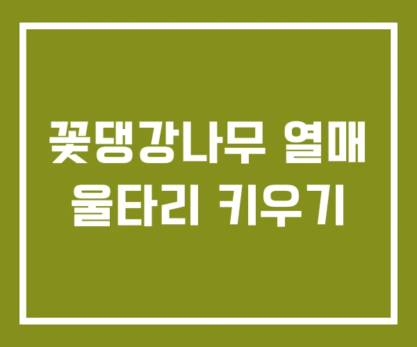 꽃댕강나무 열매 울타리 키우기