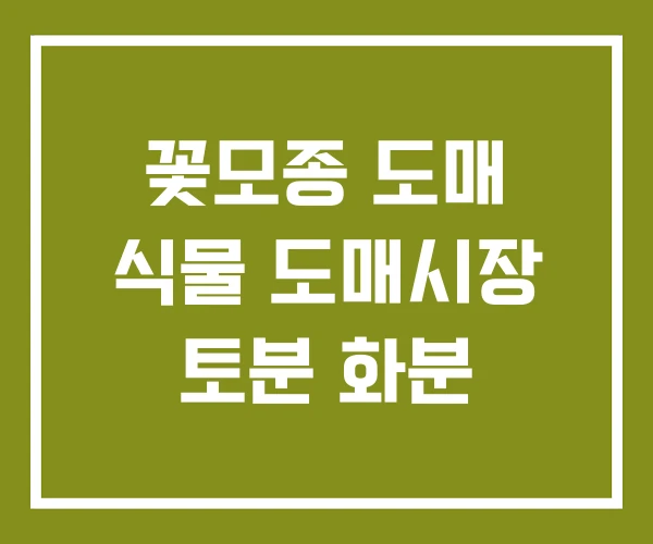 꽃모종 도매 식물 도매시장 토분 화분