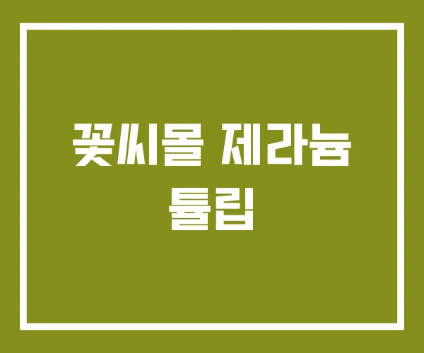 꽃씨몰 제라늄 튤립
