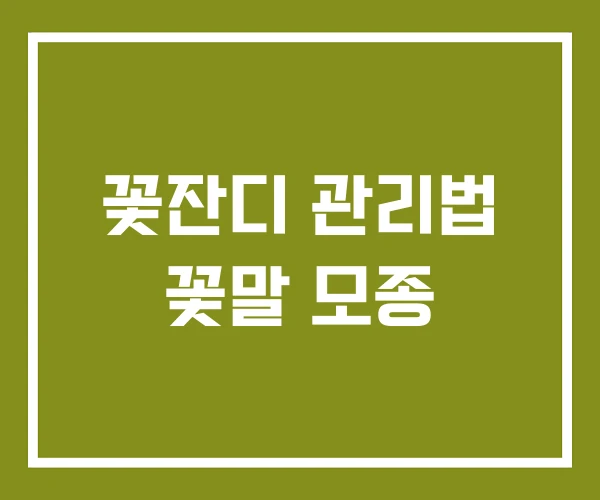꽃잔디 관리법 꽃말 모종