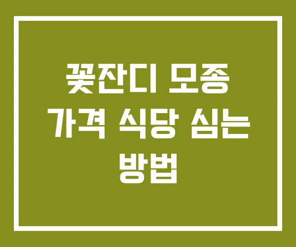 꽃잔디 모종 가격 식당 심는 방법