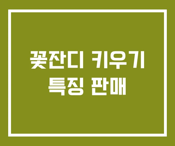 꽃잔디 키우기 특징 판매