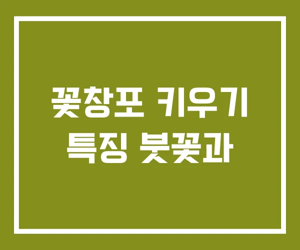 꽃창포 키우기 특징 붓꽃과