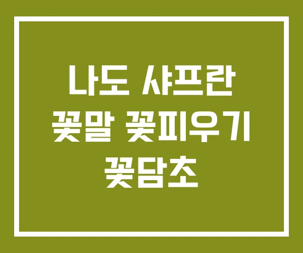 나도 샤프란 꽃말 꽃피우기 꽃담초