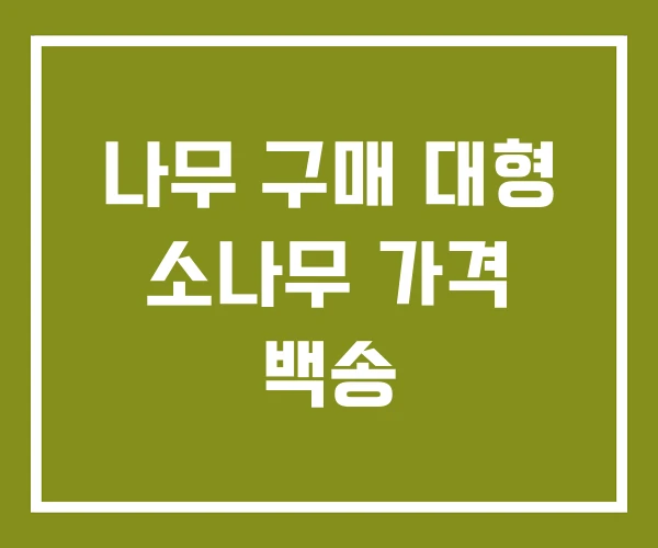 나무 구매 대형 소나무 가격 백송