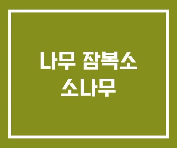 나무 잠복소 소나무