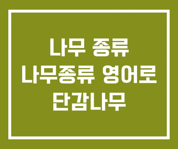 나무 종류 나무종류 영어로 단감나무