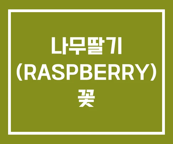 나무딸기 (RASPBERRY) 꽃