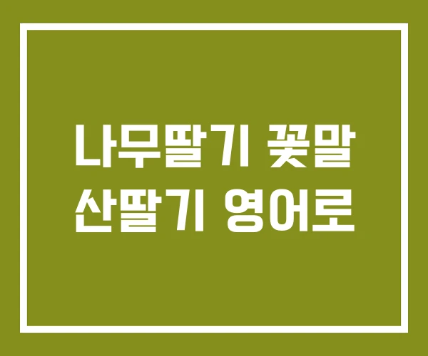 나무딸기 꽃말 산딸기 영어로