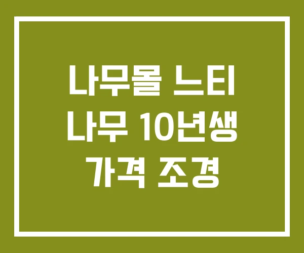 나무몰 느티 나무 10년생 가격 조경