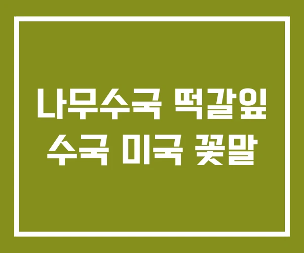 나무수국 떡갈잎 수국 미국 꽃말
