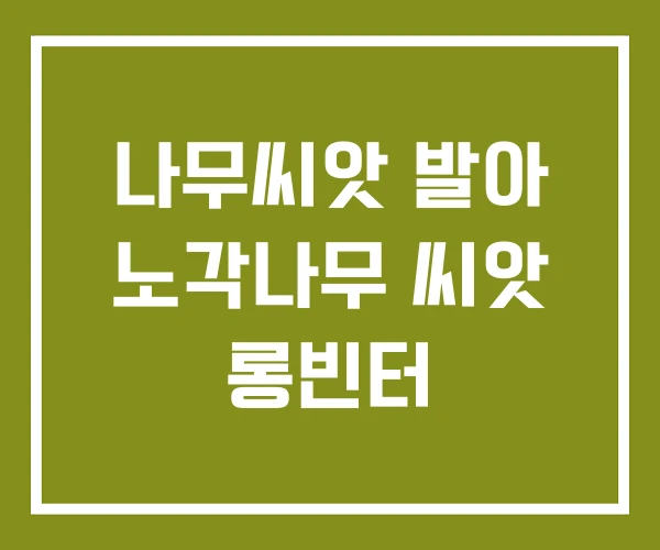 나무씨앗 발아 노각나무 씨앗 롱빈터