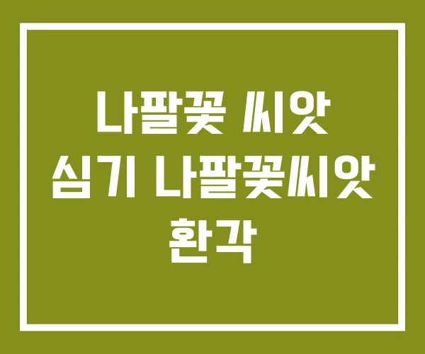 나팔꽃 씨앗 심기 나팔꽃씨앗 환각