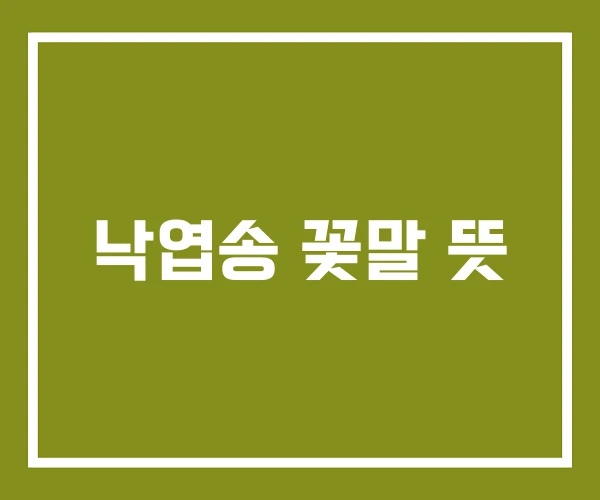 낙엽송 꽃말 뜻
