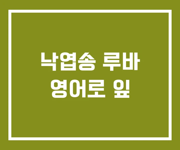 낙엽송 루바 영어로 잎