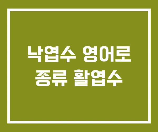 낙엽수 영어로 종류 활엽수