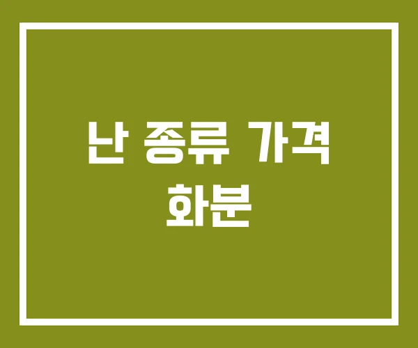 난 종류 가격 화분