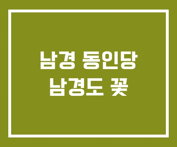남경 동인당 남경도 꽃