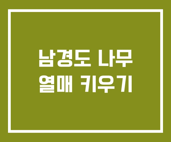 남경도 나무 열매 키우기
