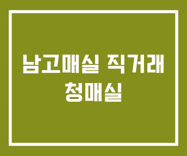 남고매실 직거래 청매실