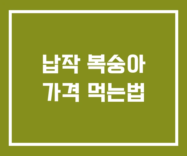 납작 복숭아 가격 먹는법