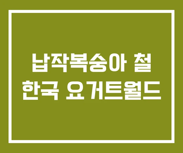 납작복숭아 철 한국 요거트월드