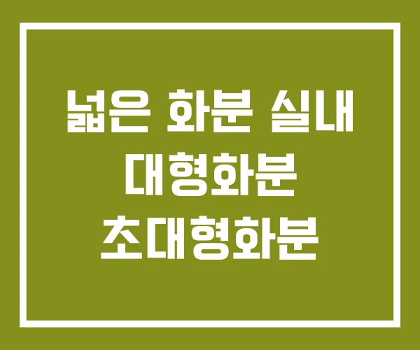 넓은 화분 실내 대형화분 초대형화분