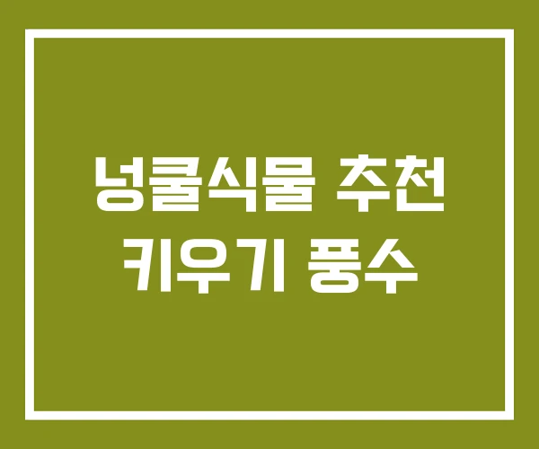 넝쿨식물 추천 키우기 풍수