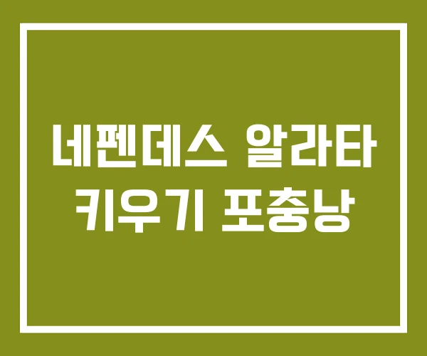 네펜데스 알라타 키우기 포충낭