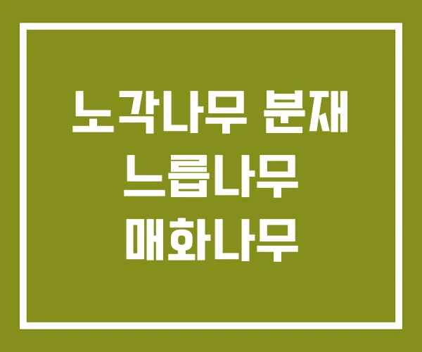 노각나무 분재 느릅나무 매화나무