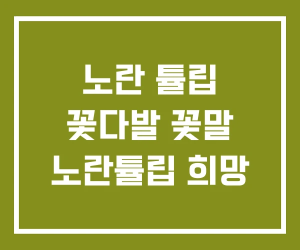 노란 튤립 꽃다발 꽃말 노란튤립 희망