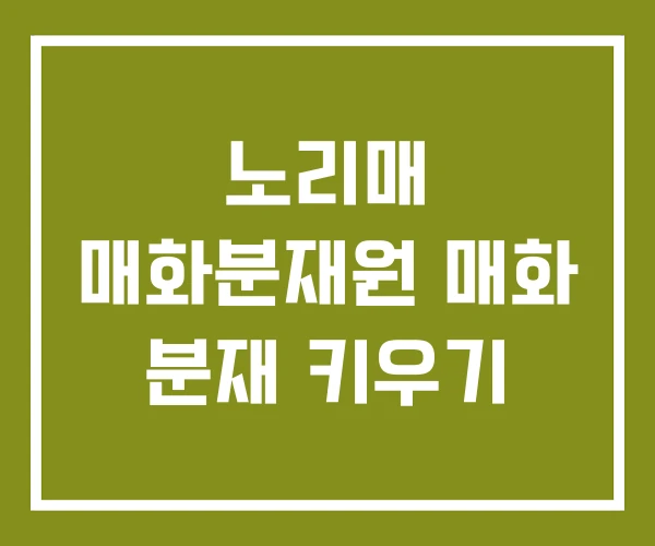 노리매 매화분재원 매화 분재 키우기