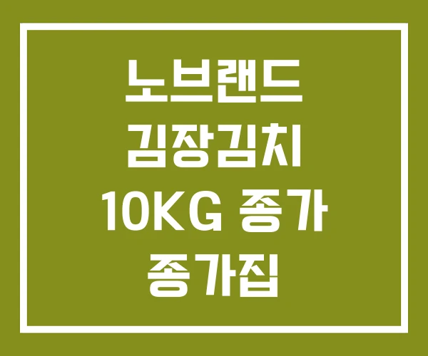 노브랜드 김장김치 10KG 종가 종가집