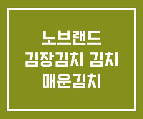 노브랜드 김장김치 김치 매운김치