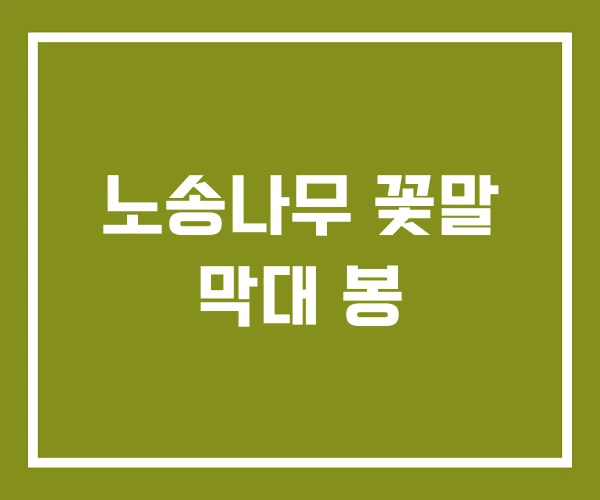 노송나무 꽃말 막대 봉